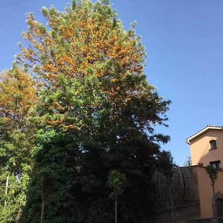 Casa Eleonora * סורנטו